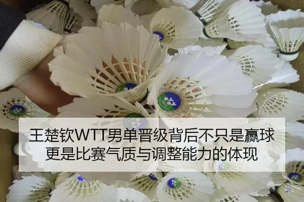 王楚钦WTT男单晋级背后不只是赢球更是比赛气质与调整能力的体现 | ambosports